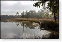 baronie van breda leemputten boswachterij dorst mastbos chaamse bossen Liesbos Vuchtpolder hdr bos Strijbeekse Heide staatsbosbeheer